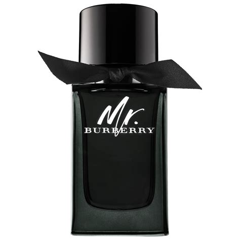 Mr. Burberry Eau de Parfum 